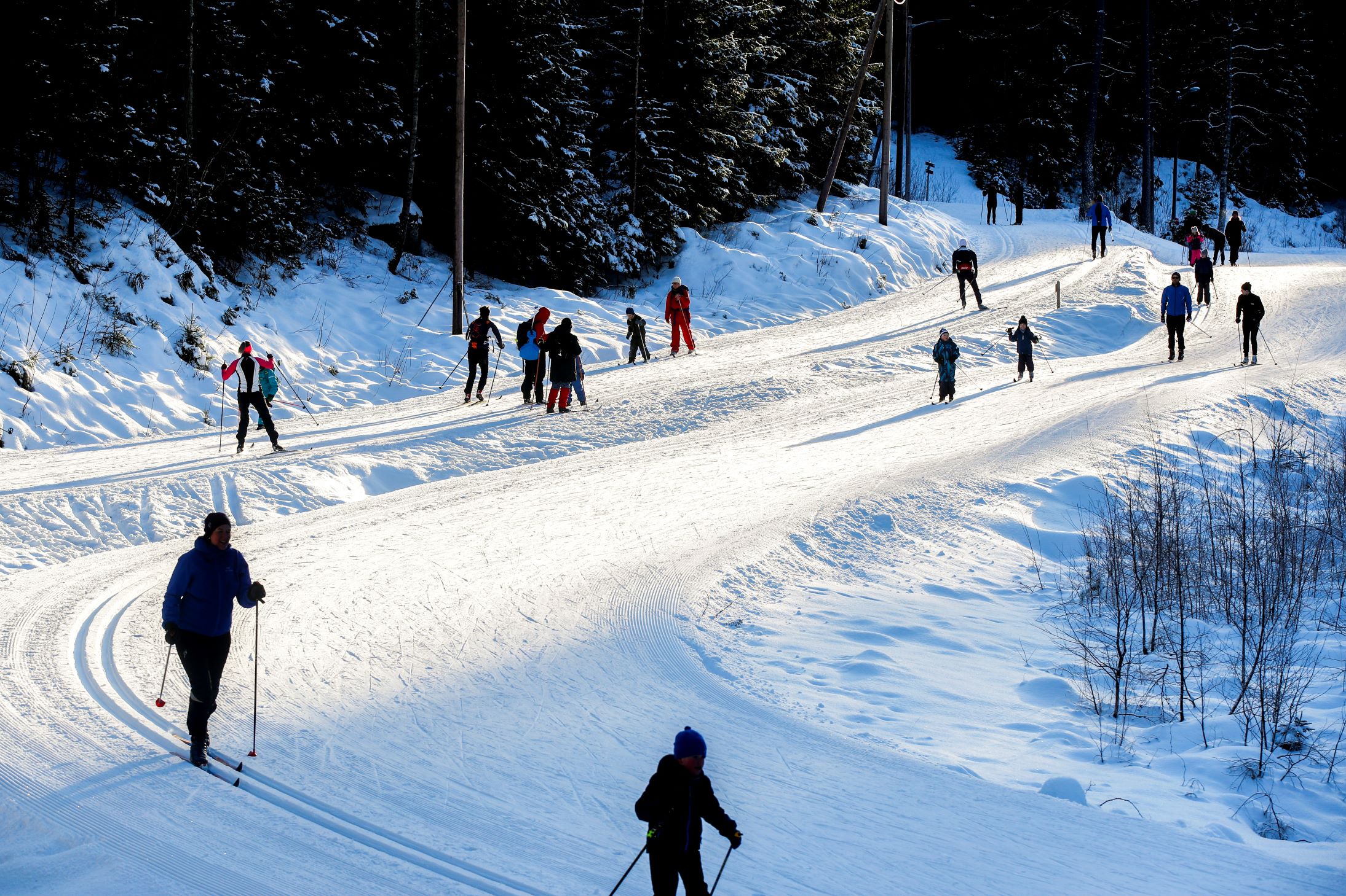 Tidlig vinter: Skiforeningen melder om skiføre i hele Oslomarka&nbsp;<span>(+)</span>