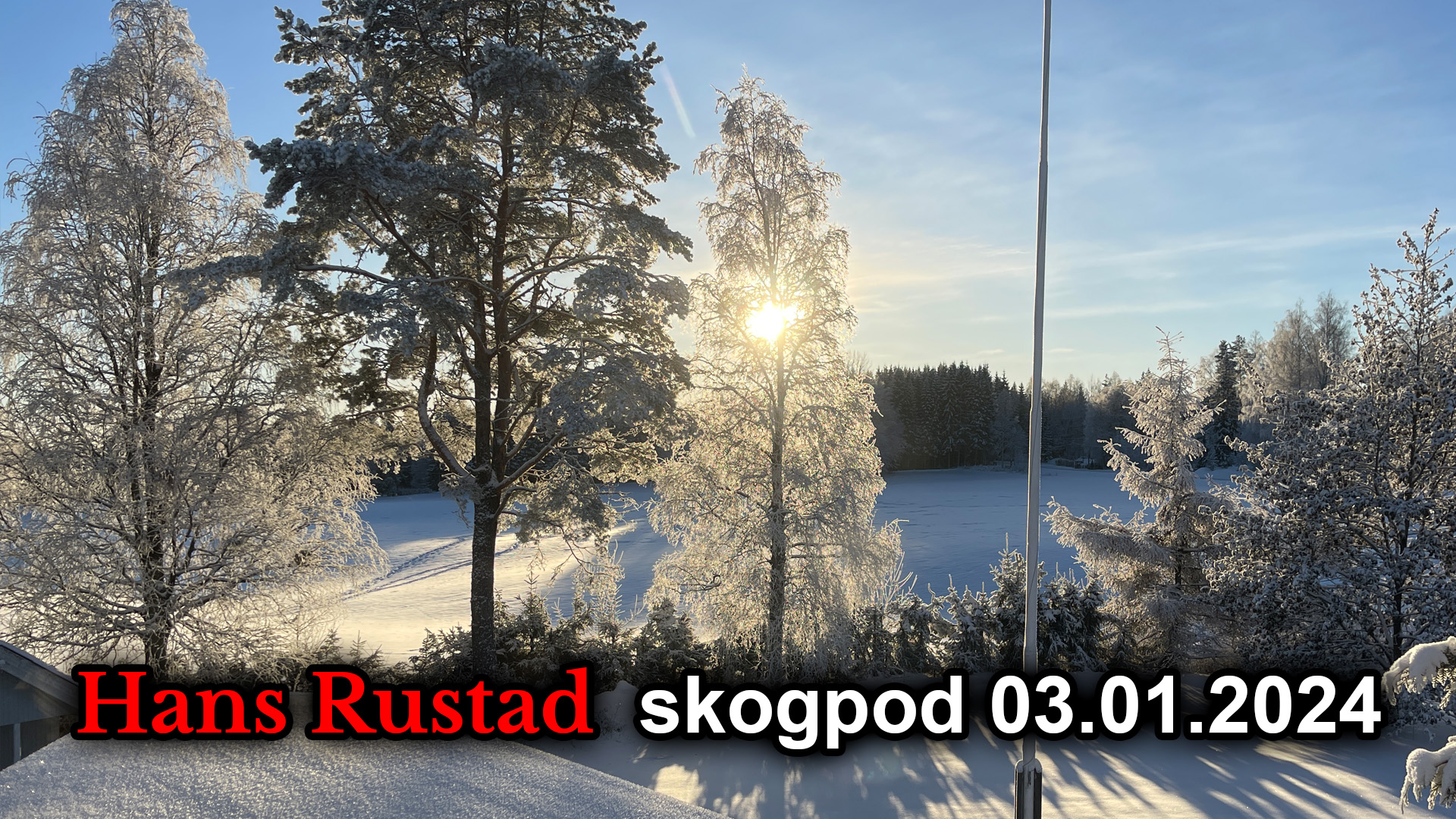 Skogpod 3. januar 2024&nbsp;<span>(+)</span>