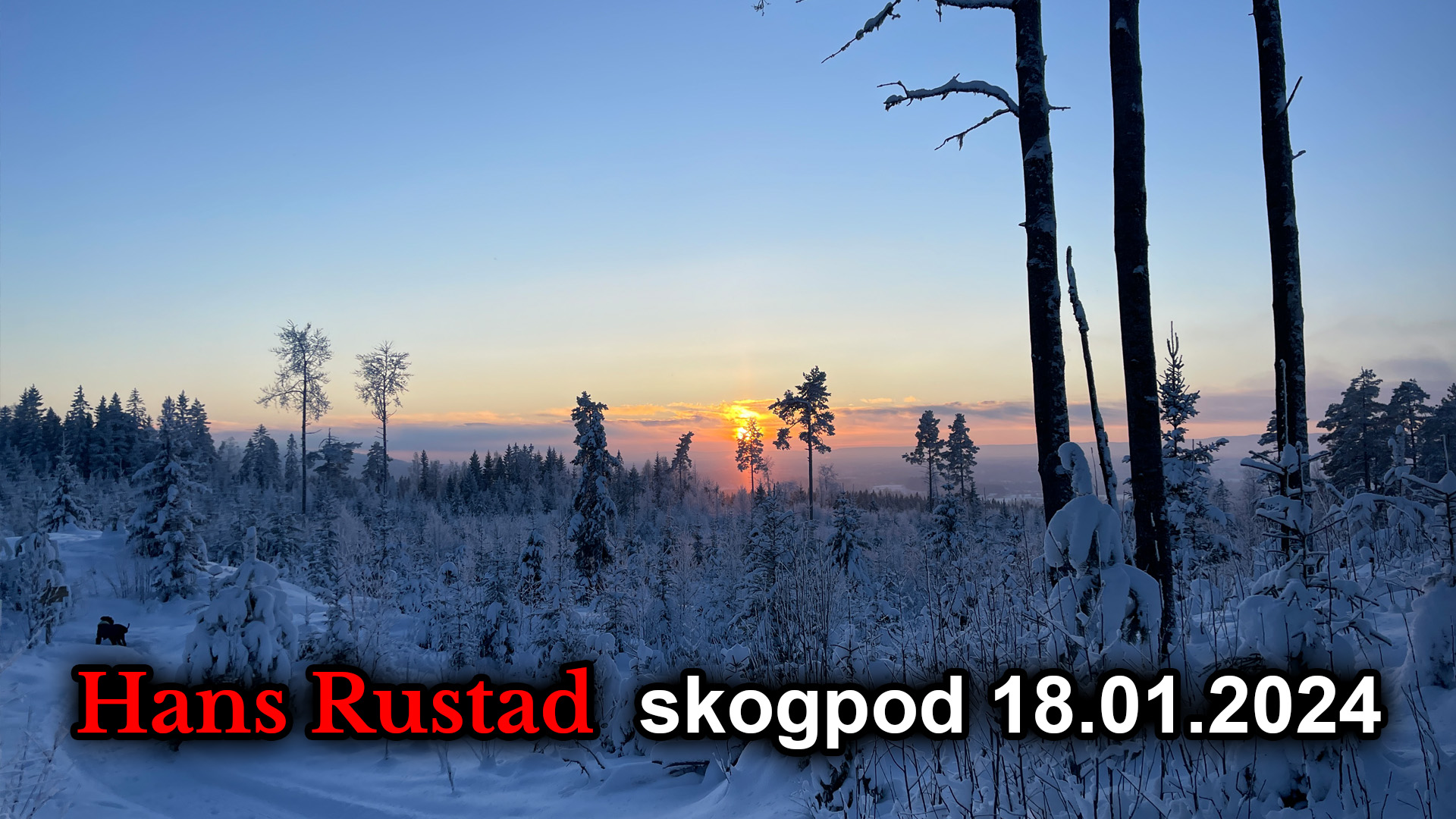 Skogpod 18. januar 2024&nbsp;<span>(+)</span>