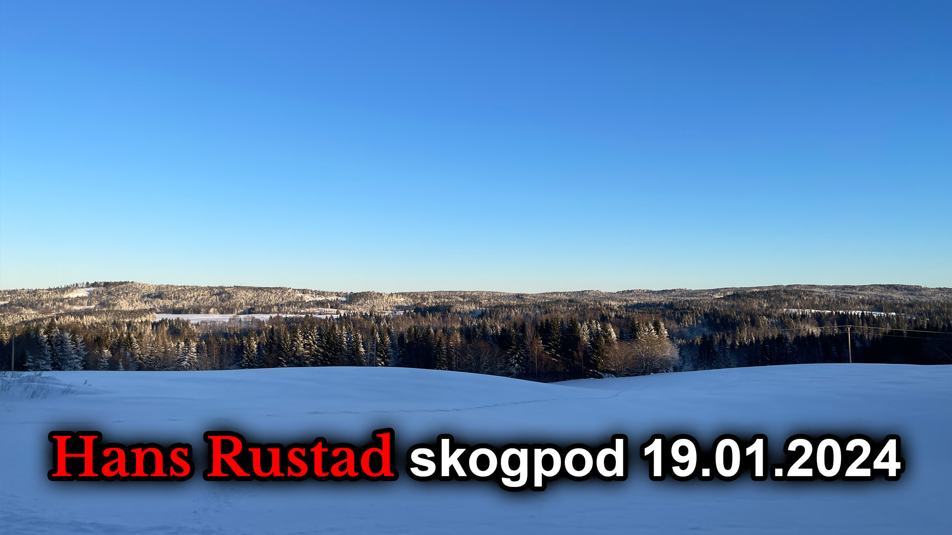 Skogpod 19. januar 2024&nbsp;<span>(+)</span>