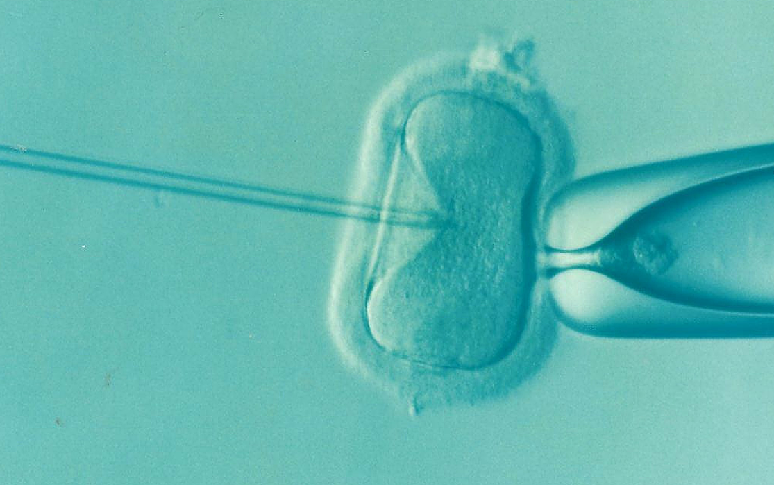 Danmark vil gi gratis fertilitetsbehandling ved barn nummer to&nbsp;<span>(+)</span>