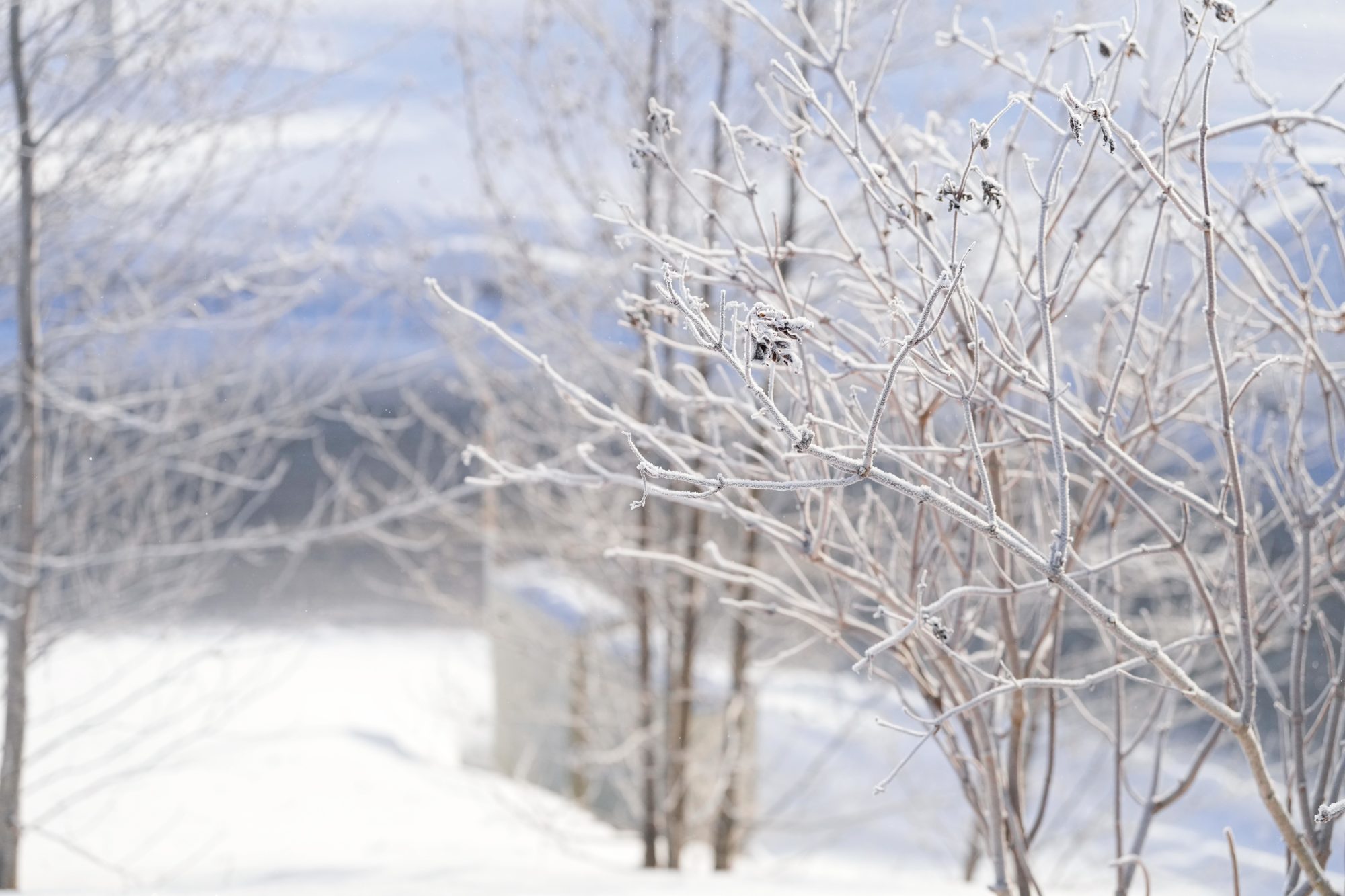 Ny kuldebølge på vei – ned mot 30 minus!&nbsp;<span>(+)</span>