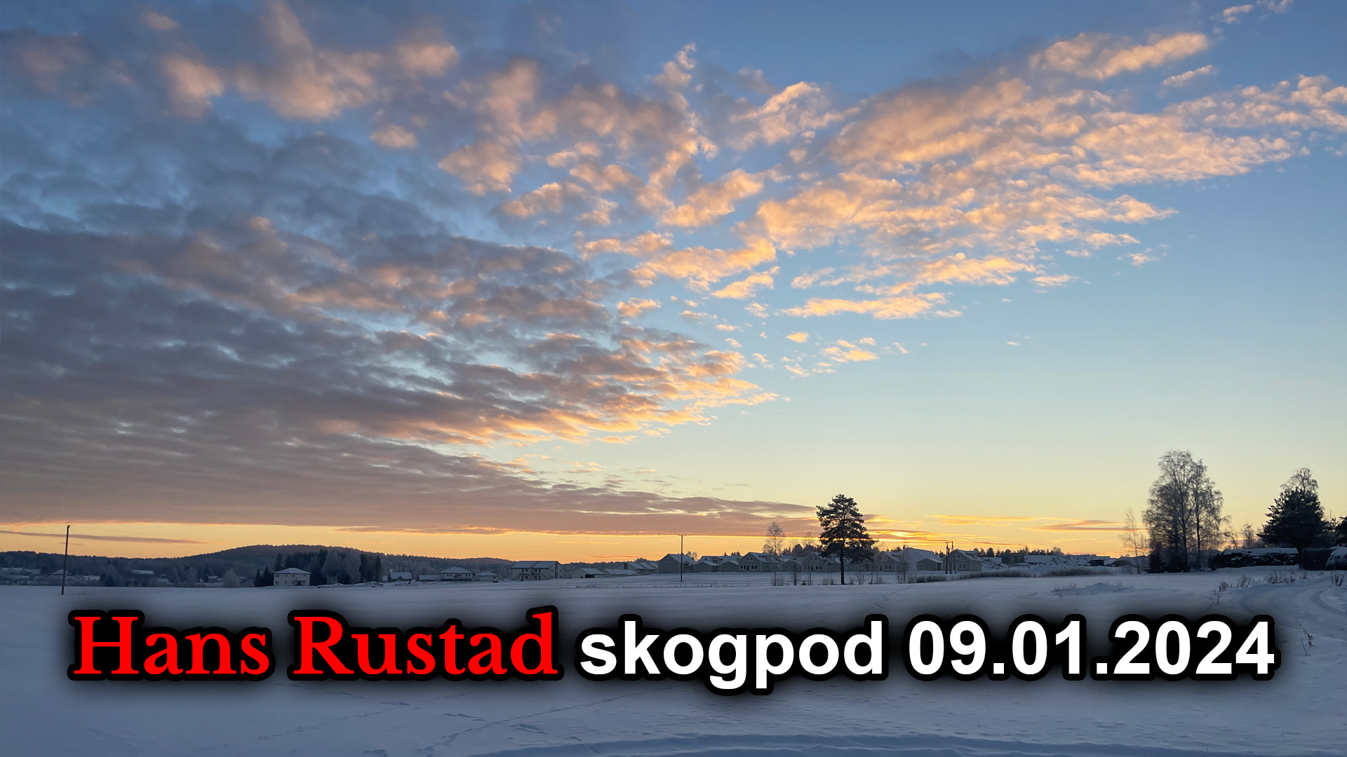 Skogpod 9. januar 2024&nbsp;<span>(+)</span>