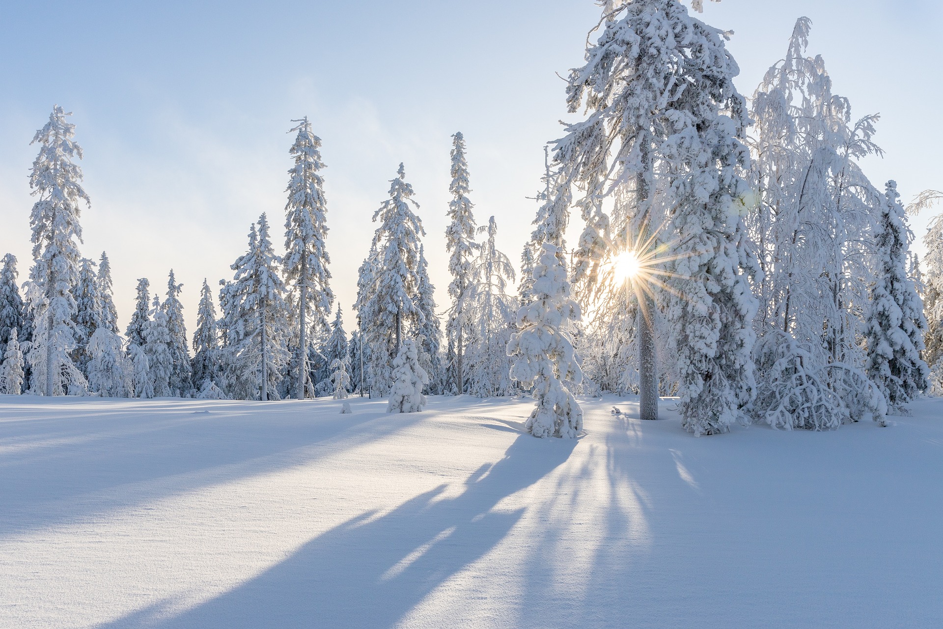 Klimaforskere: – Kulde og snø om vinteren i Norge vil ikke bli den nye normalen&nbsp;<span>(+)</span>