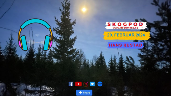 Skogpod 29. februar 2024&nbsp;<span>(+)</span>