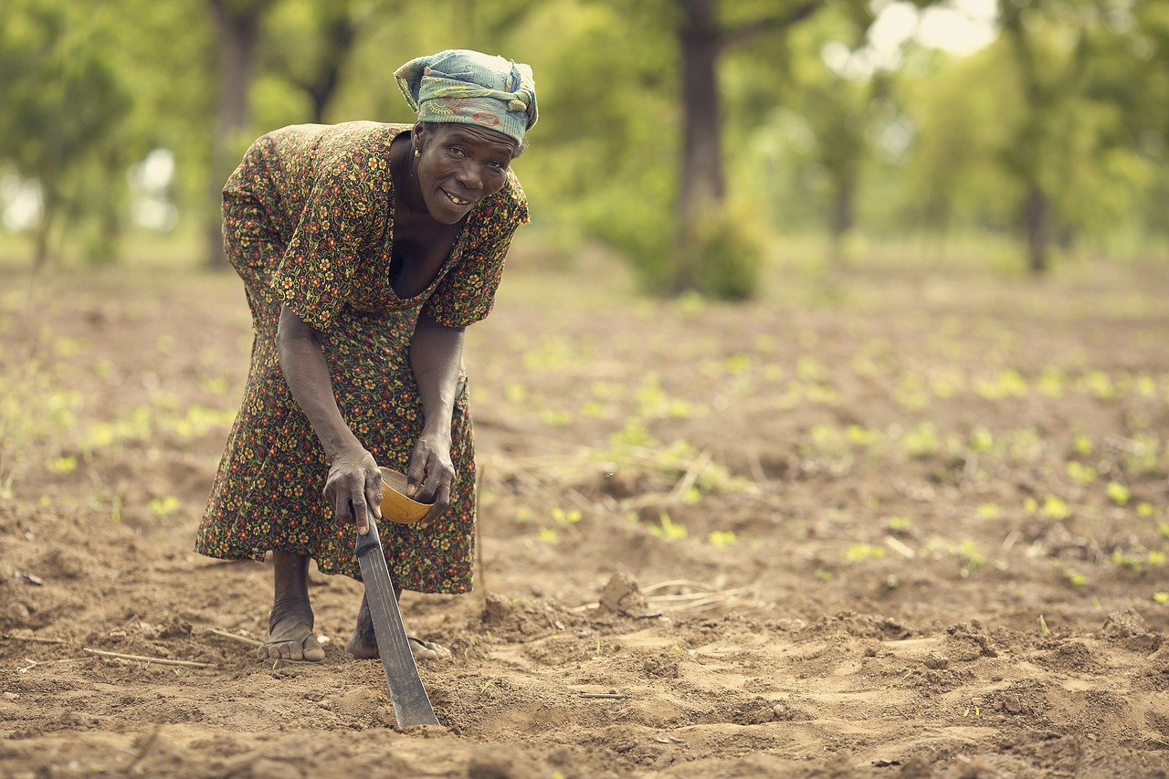 Svensk klimaprosjekt i Ghana er en fiasko&nbsp;<span>(+)</span>