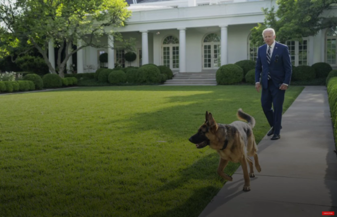 The Bite House del 2: Presidentens hund har bitt 24 Secret Service-agenter&nbsp;<span>(+)</span>