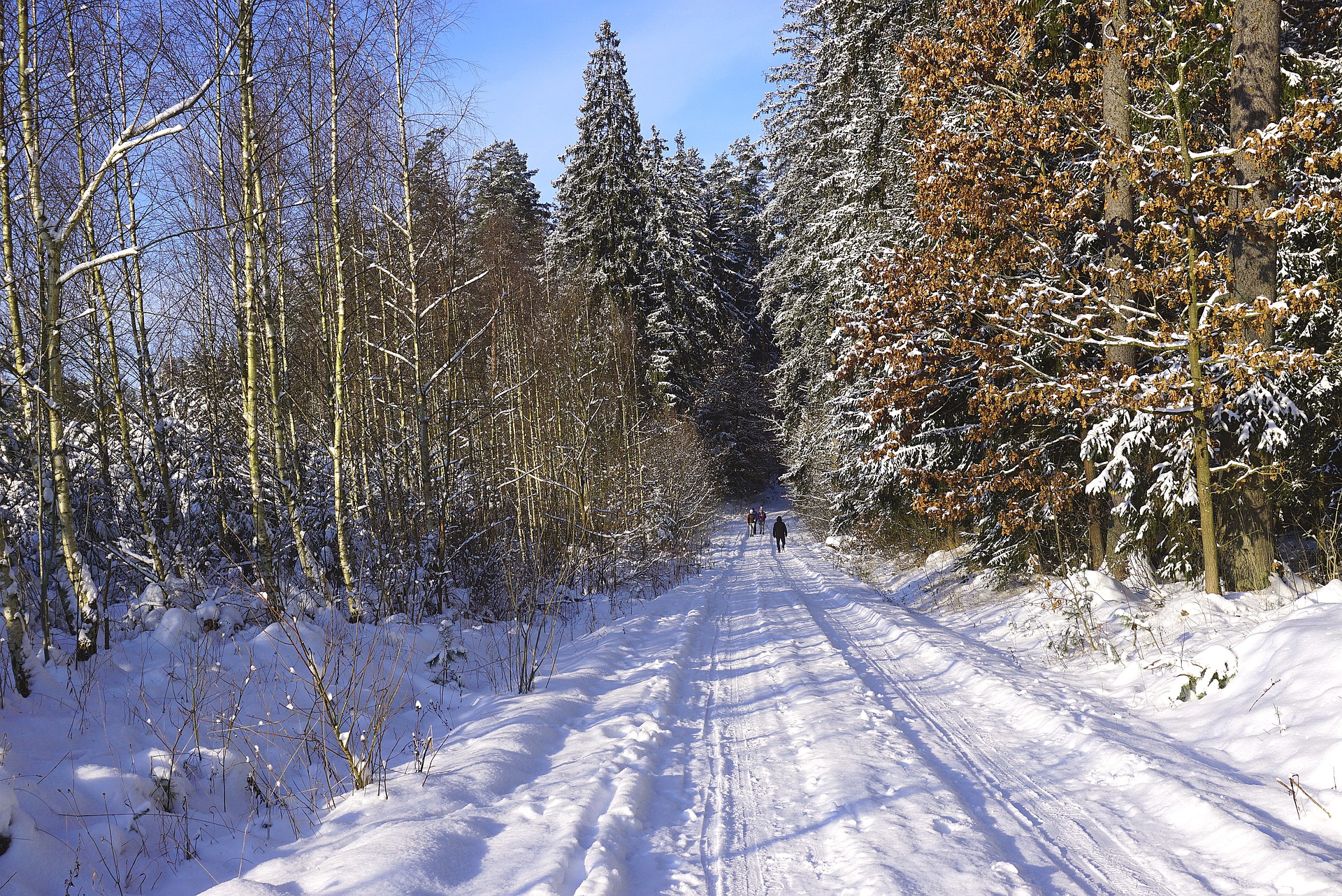 Nok et gult farevarsel på grunn av litt snø om vinteren&nbsp;<span>(+)</span>