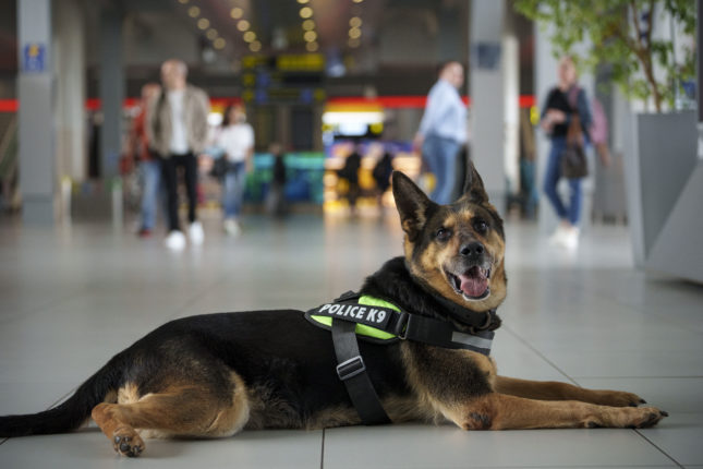 Romania og Bulgaria blir Schengen-land&nbsp;<span>(+)</span>