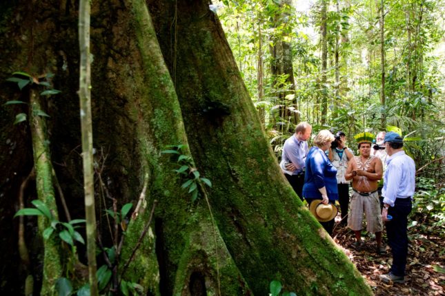 Fortum-kunder betaler 2000 kroner årlig til regnskog, 95 prosent beholdes av selskapet&nbsp;<span>(+)</span>