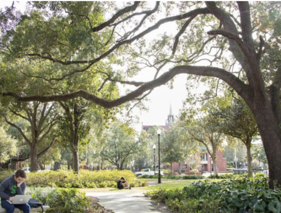 University of Florida går anti-woke, avskaffer DEI&nbsp;<span>(+)</span>