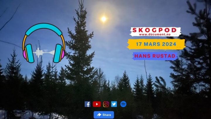 Skogpod 17. mars 2024&nbsp;<span>(+)</span>