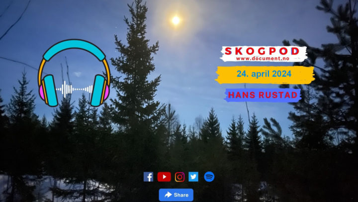 Skogpod 24. april 2024&nbsp;<span>(+)</span>