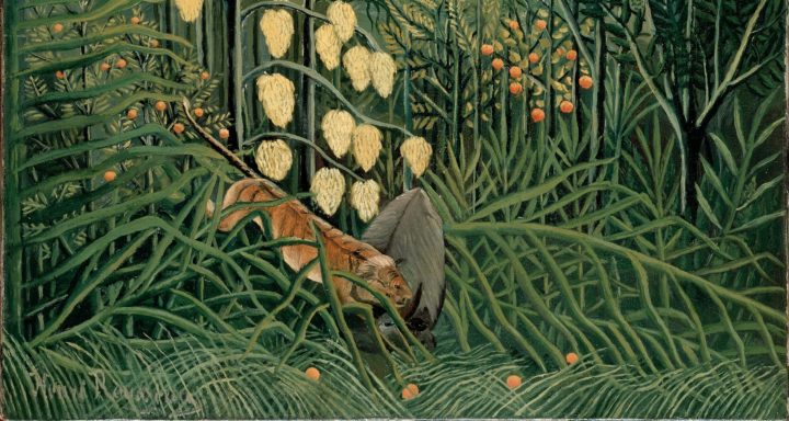Kamp mellom tiger og bøffel (1908-09).&nbsp;<span>(+)</span>
