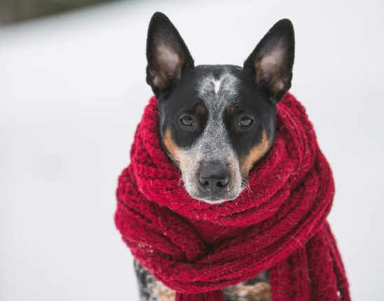 Rekordlave temperaturer i Norge for april: –4,2 grader i Drammen&nbsp;<span>(+)</span>