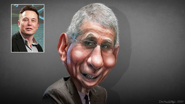 Elon Musk: – Arrestér Fauci!&nbsp;<span>(+)</span>