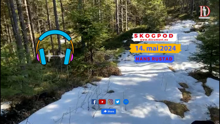 Skogpod 14. mai 2024