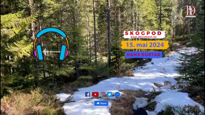Skogpod 15.mai 2024