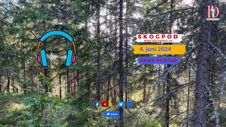 Skogpod 4. juni 2024
