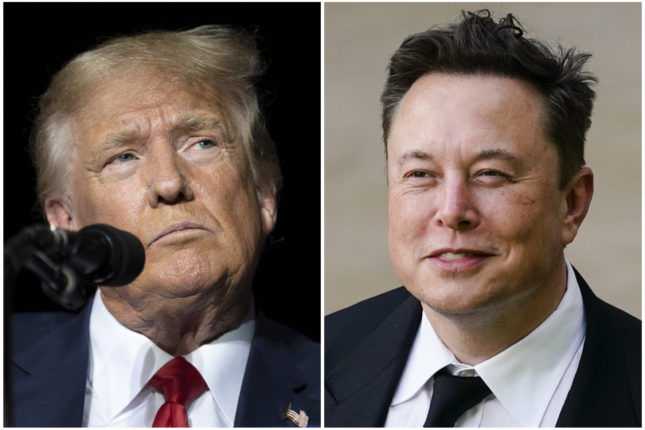 Elon Musk kan bli rådgiver for Donald Trump etter valget