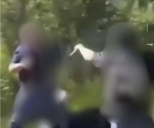 Borgervern&shy;gruppe mot pedofile sprer videoer av overgrep