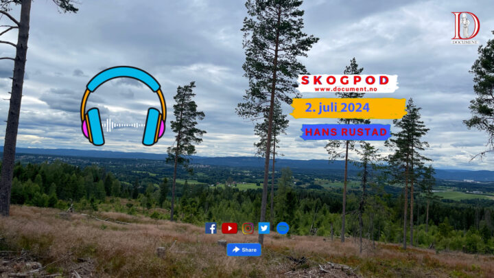 Skogpod 2. juli 2024