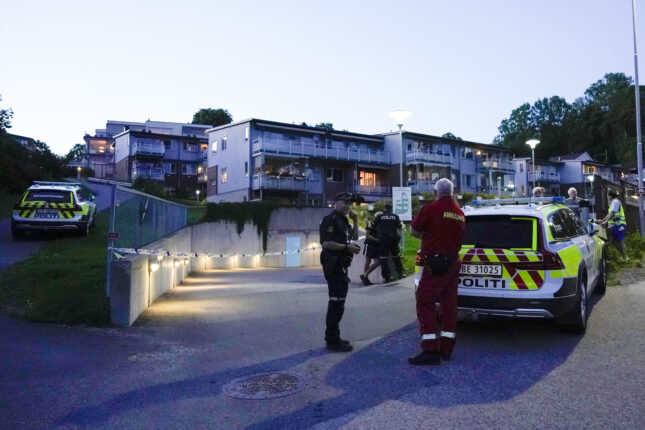 Skyting mot bil i Drøbak sentrum; person observert med våpen
