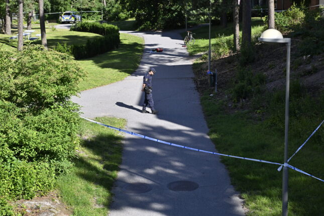 Tenåring drept: Samfunnet går i feil retning, med ekspressfart