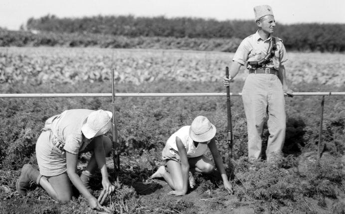 Et medlem av Haganah bevokter et jorde nær Gan Schmuel (1938).