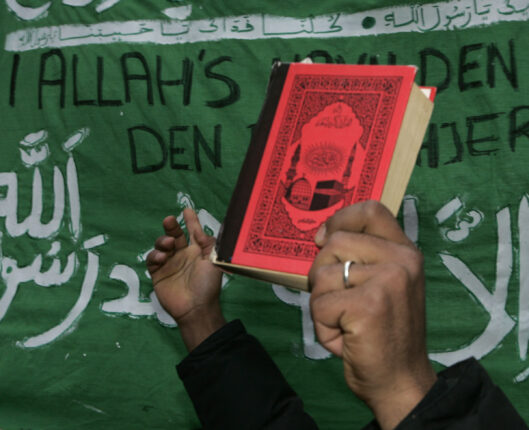 Skikkelige innvandrere integrerer seg selv – ytre-høyre muslimer derimot ...