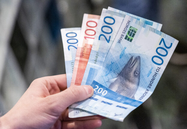 Venstres forslag om å binde kronen til euro får motbør på Stortinget