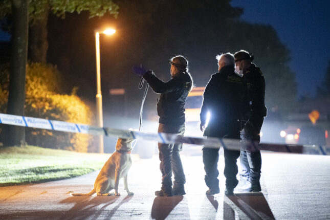 Sverige: «Barn» under 15 på vendetta mot mann i 50-årene