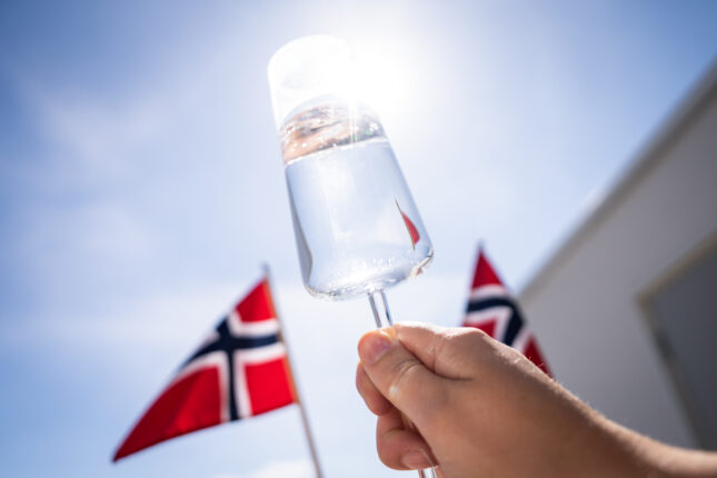 Norges forfedre: Et dypdykk i offer, kamp og verdier