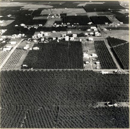 Det judeiske appelsinlandet (1937-38).