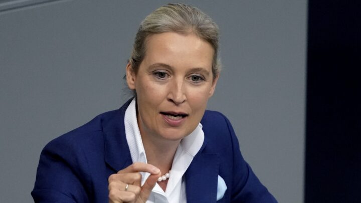 Brandenburg: AfD størst blant menn, arbeidere, nærings­drivende og folk under 60