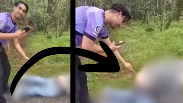 Sverige: Innvandrergjeng tvinger gutt til å være hund - stikker pinne i anus