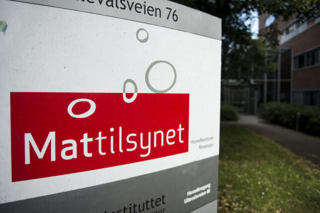 Fire av ti slaktedyr i Norge er skitne, og kan gi smittsomme sykdommer