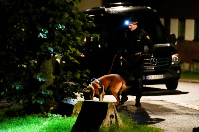 19-åring tvang seg inn i huset med stor «rambokniv»: Truet med å drepe sønnen