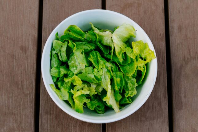 Bystyrerepresentanter i Oslo lei av vegetarmat – vil ha kjøtt på menyen