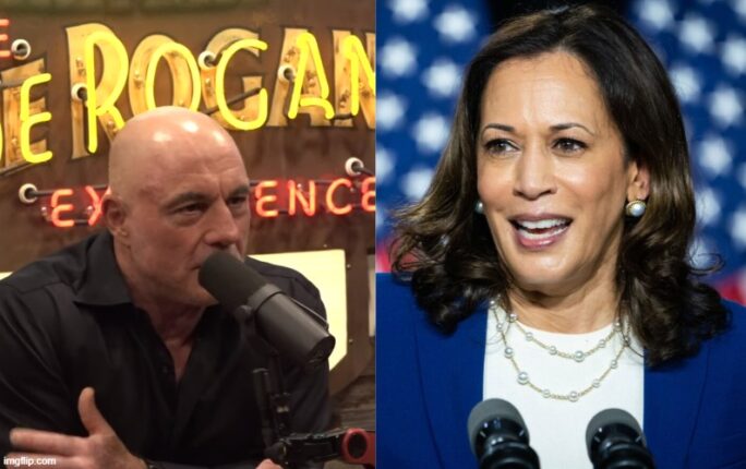 Kamala Harris har for mange krav til et intervju med Joe Rogan