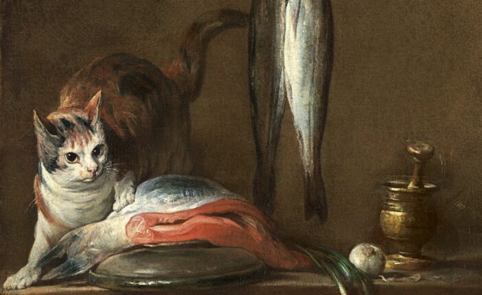 Stilleben med katt og fisk (1728).