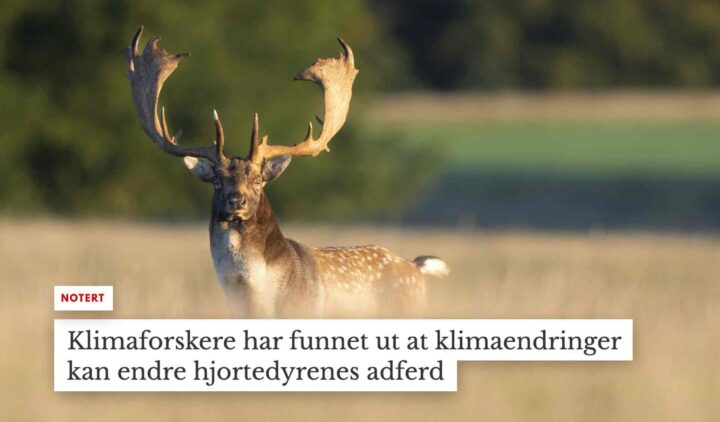 Irritert forsker varsler søksmål mot Document for ærekrenkelse