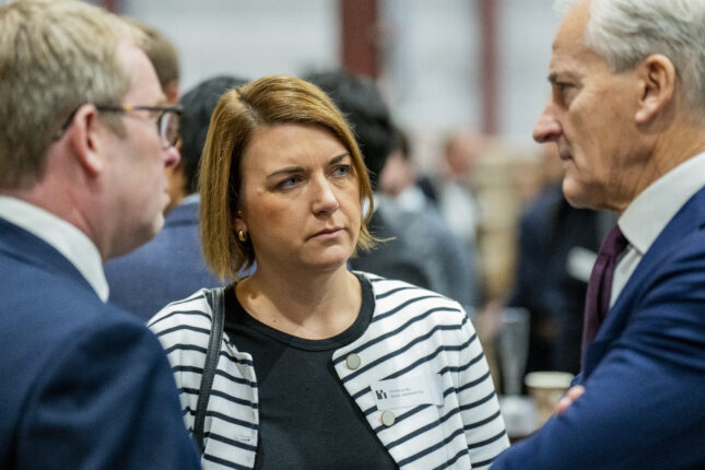 «Flytbasert markedskobling» skal redde strømprisene