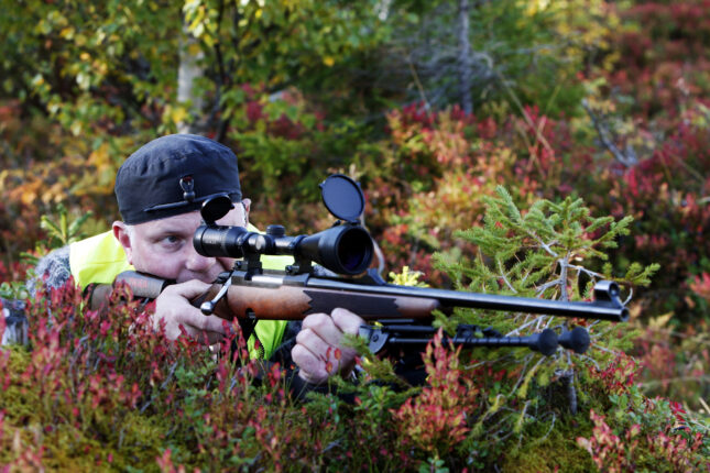 Jakt er en nødvendighet for både natur og mennesker