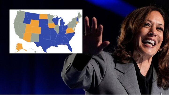 Kamala Harris dominerer i stater uten ID-krav; setter fyr på sosiale medier