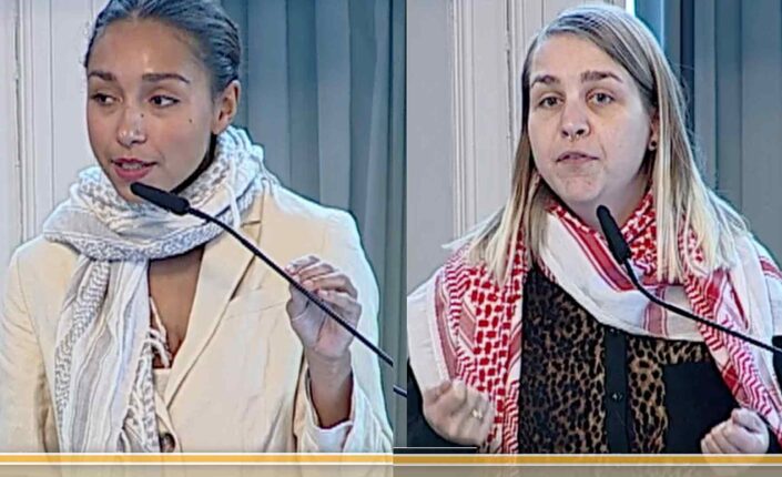 Hamse Ali-saken: Politikere i palestina&shy;skjerf vedtok «antirasistisk sone»