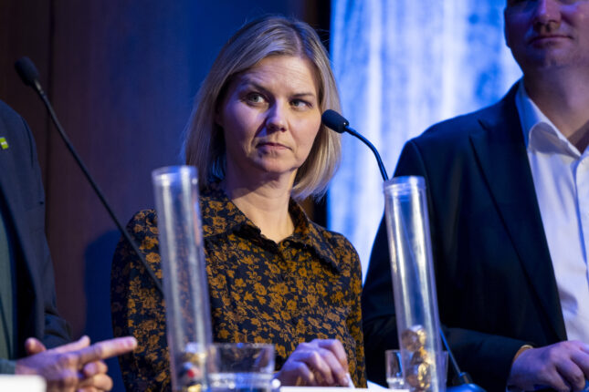 Guri Melby (V) vil ha Norge inn i EU etter at Trump vant valget