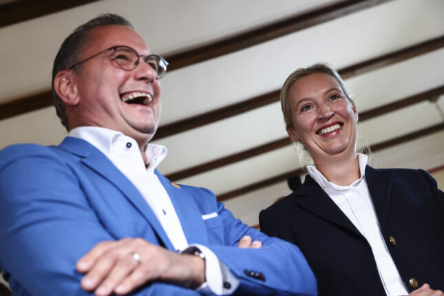 AfD nest størst, stiller med Weidel som statsminister&shy;kandidat
