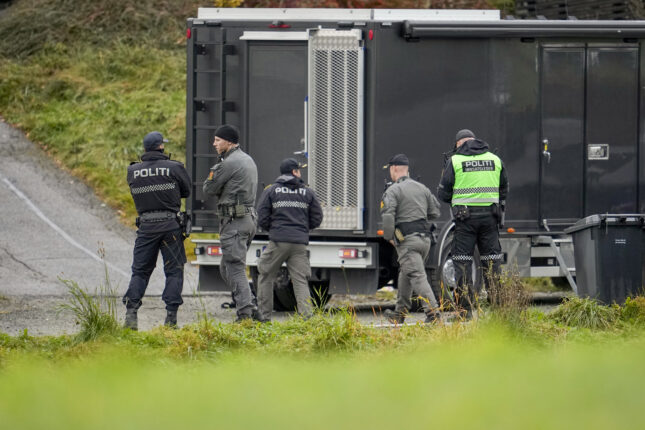 Svenske gjenger knyttes til over 40 straffesaker i Norge de siste fire årene