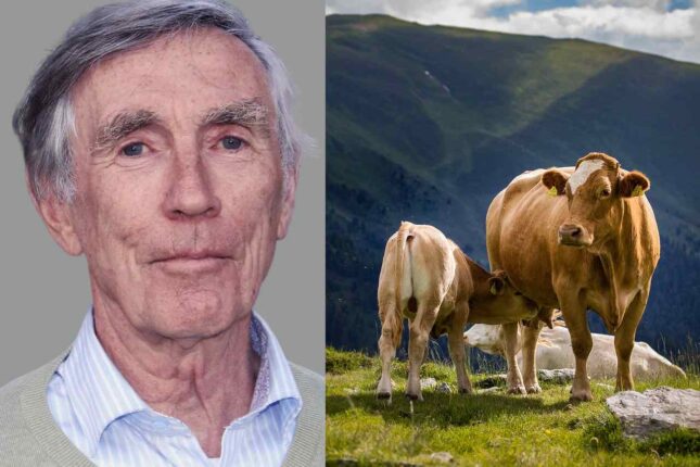 Professor emeritus ut mot metan&shy;hemmere: – Kan dis&shy;ponere mennesker for sykdom